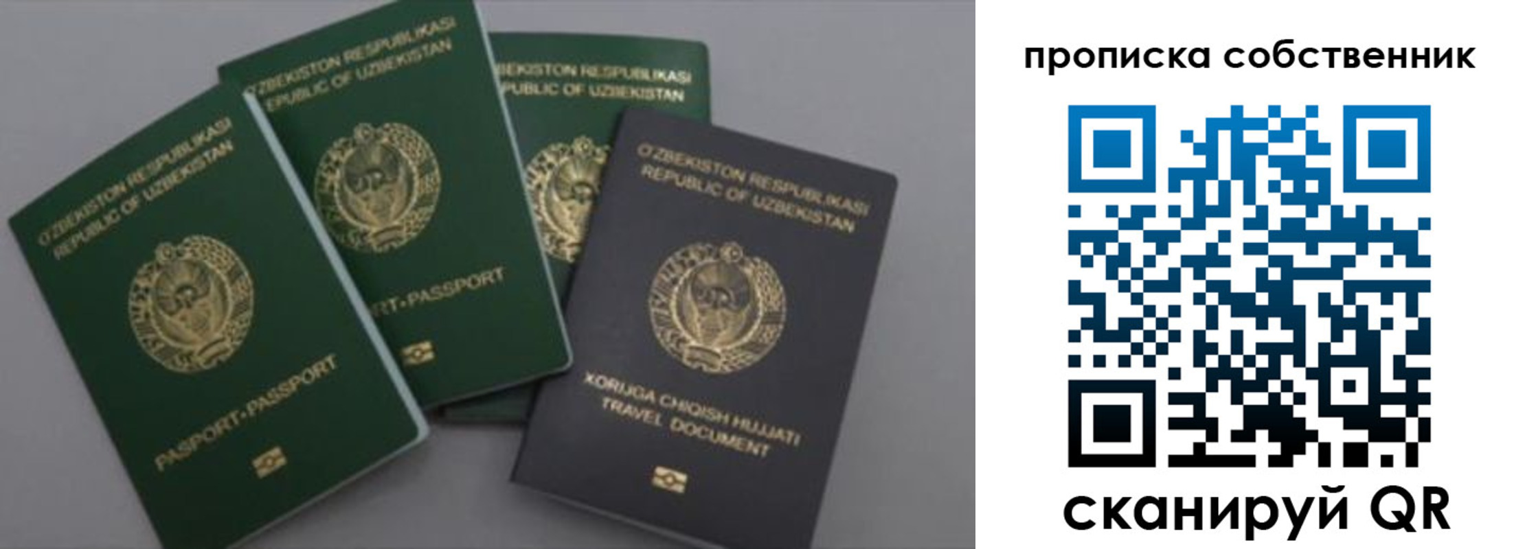 прописка штамп в Ногинске